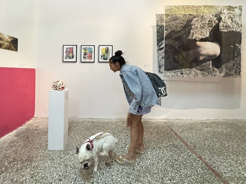 The Eternal Cycle, exhibition view